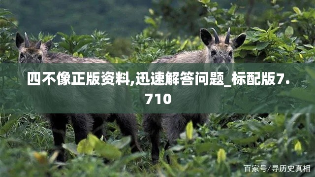 四不像正版资料,迅速解答问题_标配版7.710