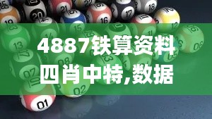4887铁算资料四肖中特,数据解析支持计划_PalmOS2.597