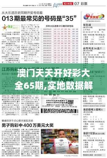 澳门天天开好彩大全65期,实地数据解释定义_X版10.376