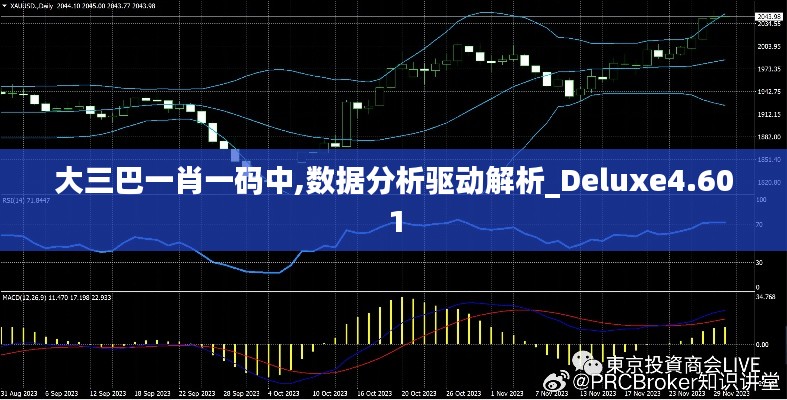 大三巴一肖一码中,数据分析驱动解析_Deluxe4.601