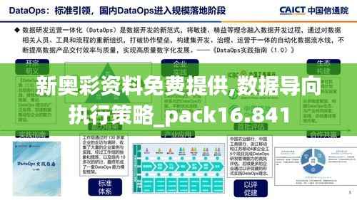 新奥彩资料免费提供,数据导向执行策略_pack16.841