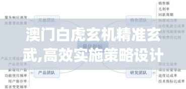 澳门白虎玄机精准玄武,高效实施策略设计_FHD8.684