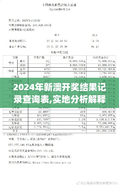 2024年新澳开奖结果记录查询表,实地分析解释定义_7DM13.558
