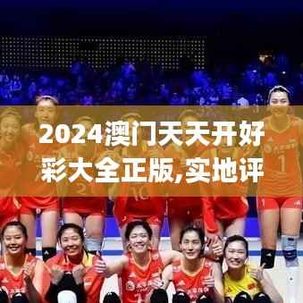 2024澳门天天开好彩大全正版,实地评估解析数据_超级版6.303