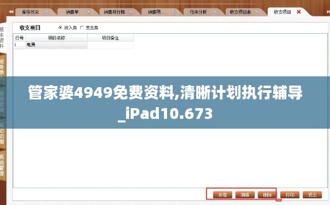 管家婆4949免费资料,清晰计划执行辅导_iPad10.673