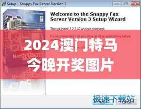 2024澳门特马今晚开奖图片,稳定评估计划方案_NE版1.770