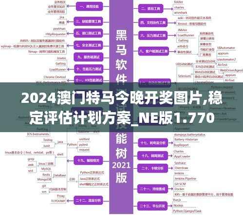 2024澳门特马今晚开奖图片,稳定评估计划方案_NE版1.770