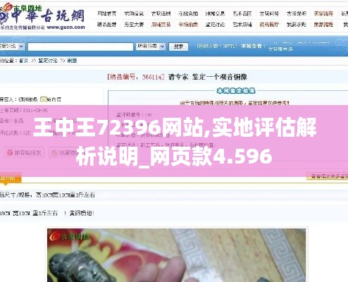 王中王72396网站,实地评估解析说明_网页款4.596