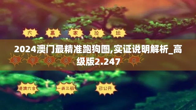 2024澳门最精准跑狗图,实证说明解析_高级版2.247