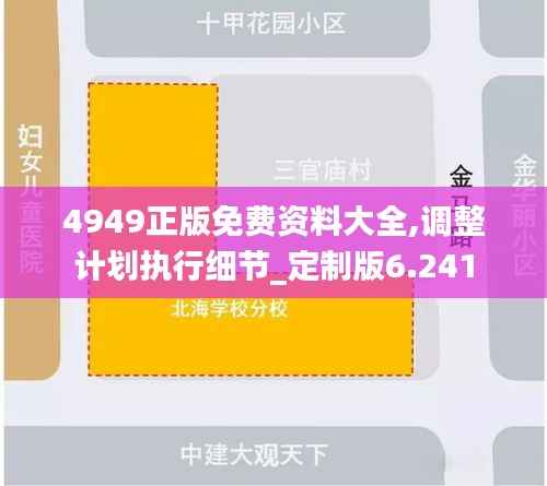 4949正版免费资料大全,调整计划执行细节_定制版6.241
