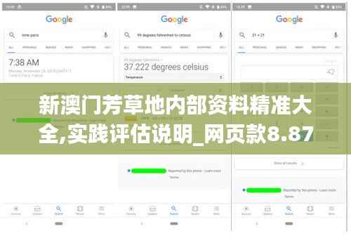 新澳门芳草地内部资料精准大全,实践评估说明_网页款8.876