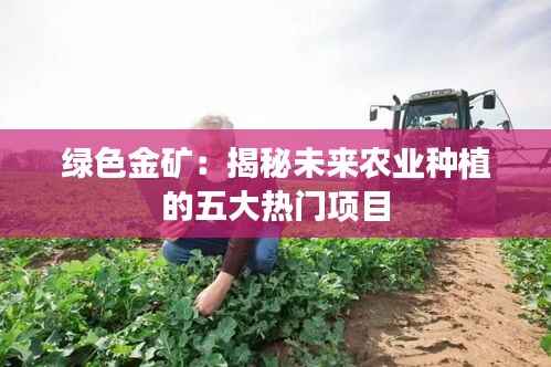 绿色金矿:揭秘未来农业种植的五大热门项目