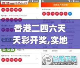 香港二四六天天彩开奖,实地分析解释定义_苹果1.363