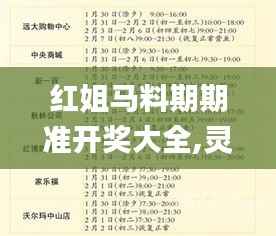 红姐马料期期准开奖大全,灵活性方案解析_游戏版10.469