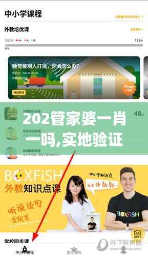 202管家婆一肖一吗,实地验证数据设计_ios7.339