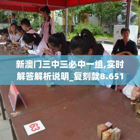 新澳门三中三必中一组,实时解答解析说明_复刻款8.651