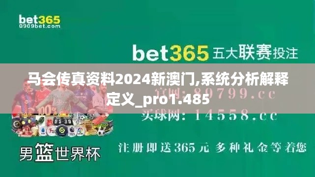 马会传真资料2024新澳门,系统分析解释定义_pro1.485