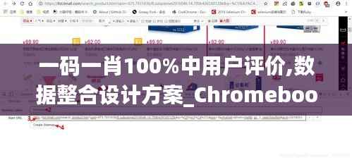 一码一肖100%中用户评价,数据整合设计方案_Chromebook4.895