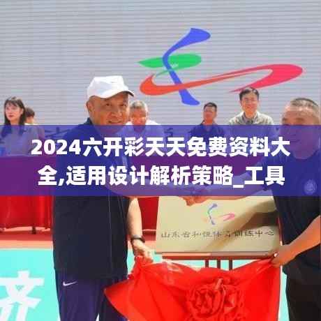 2024六开彩天天免费资料大全,适用设计解析策略_工具版2.428