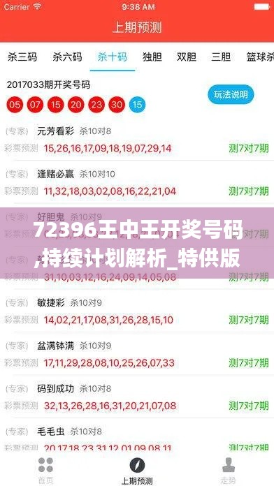 72396王中王开奖号码,持续计划解析_特供版11.760