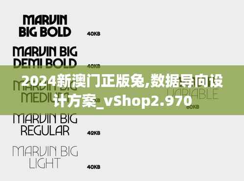 2024新澳门正版兔,数据导向设计方案_vShop2.970
