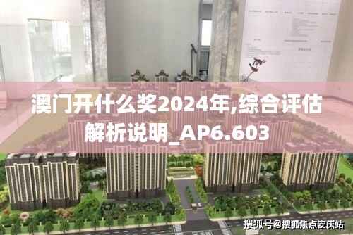 澳门开什么奖2024年,综合评估解析说明_AP6.603