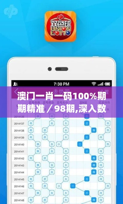 澳门一肖一码100%期期精准/98期,深入数据执行方案_复古款3.412