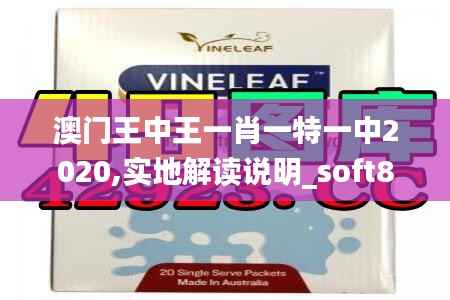 澳门王中王一肖一特一中2020,实地解读说明_soft8.396