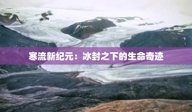 寒流新纪元:冰封之下的生命奇迹