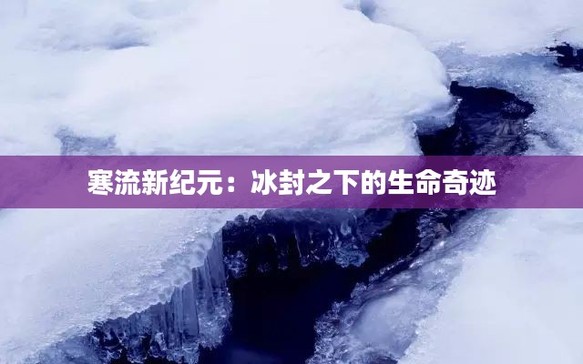 寒流新纪元:冰封之下的生命奇迹