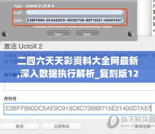 二四六天天彩资料大全网最新,深入数据执行解析_复刻版12.149