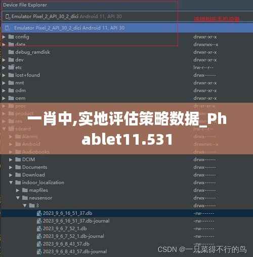 一肖中,实地评估策略数据_Phablet11.531