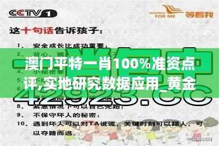 澳门平特一肖100%准资点评,实地研究数据应用_黄金版14.657