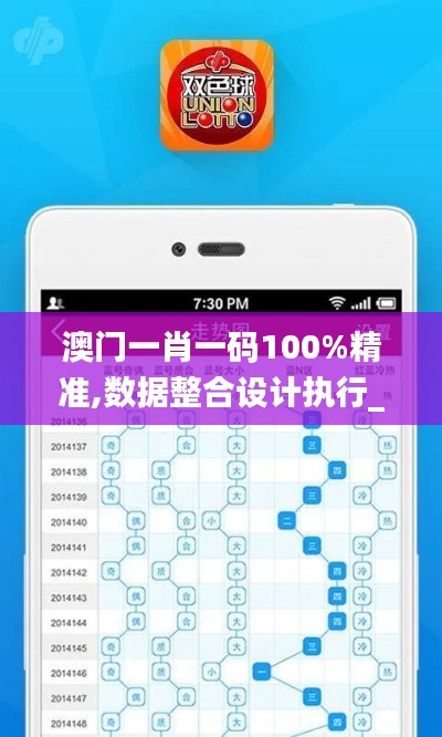 澳门一肖一码100%精准,数据整合设计执行_黄金版1.210