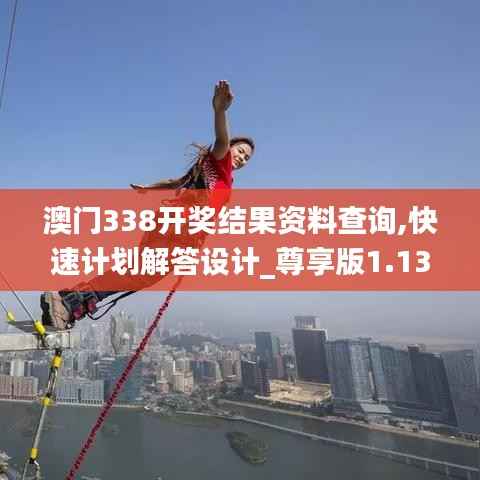 澳门338开奖结果资料查询,快速计划解答设计_尊享版1.133