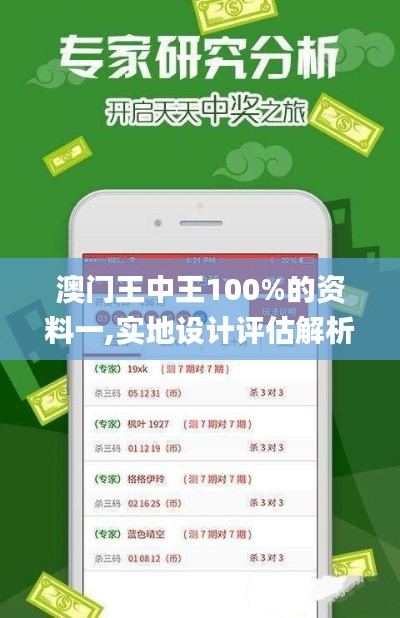澳门王中王100%的资料一,实地设计评估解析_专属款7.471
