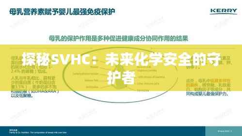 探秘SVHC:未来化学安全的守护者