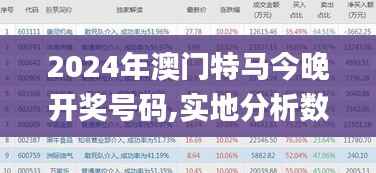 2024年澳门特马今晚开奖号码,实地分析数据计划_RemixOS4.200