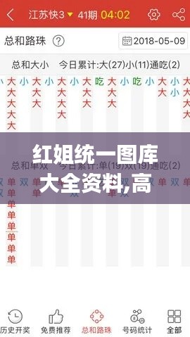 红姐统一图库大全资料,高速响应执行计划_M版5.548