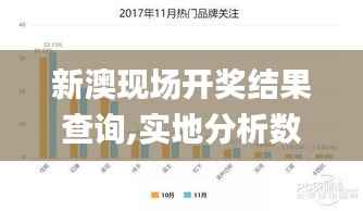 新澳现场开奖结果查询,实地分析数据设计_NE版2.158