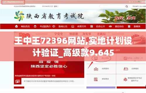 王中王72396网站,实地计划设计验证_高级款9.645