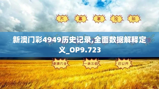 新澳门彩4949历史记录,全面数据解释定义_OP9.723