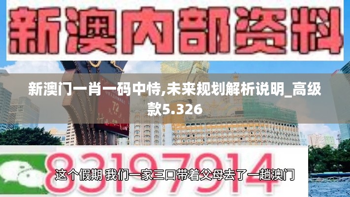 新澳门一肖一码中恃,未来规划解析说明_高级款5.326