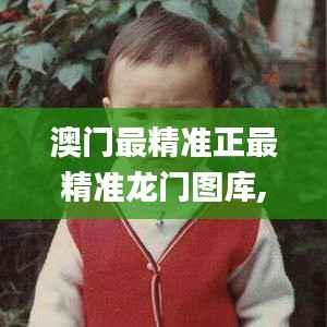 澳门最精准正最精准龙门图库,快速响应策略方案_运动版5.830