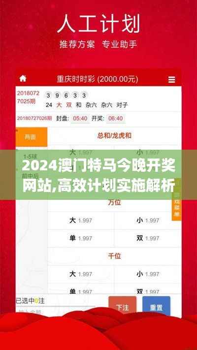 2024澳门特马今晚开奖网站,高效计划实施解析_Premium2.198