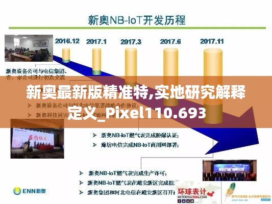 新奥最新版精准特,实地研究解释定义_Pixel110.693