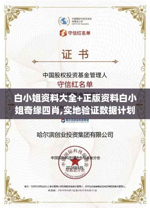 白小姐资料大全+正版资料白小姐奇缘四肖,实地验证数据计划_冒险版6.234