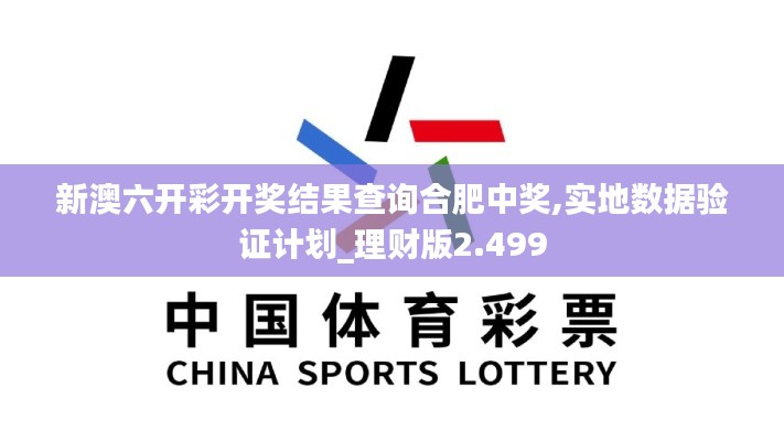 新澳六开彩开奖结果查询合肥中奖,实地数据验证计划_理财版2.499