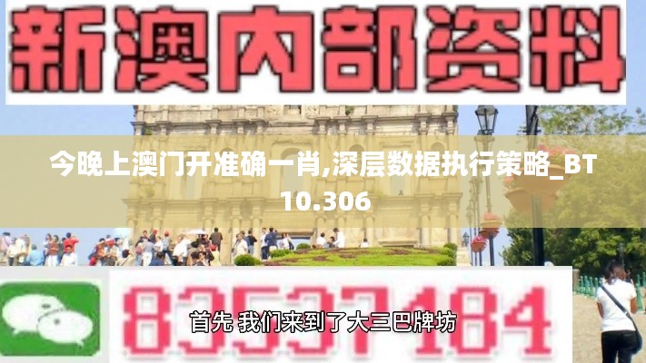 今晚上澳门开准确一肖,深层数据执行策略_BT10.306