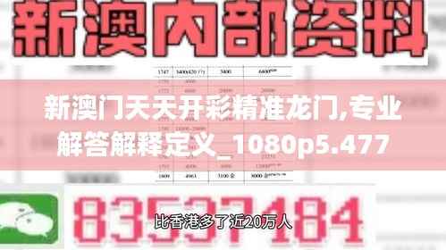 新澳门天天开彩精准龙门,专业解答解释定义_1080p5.477